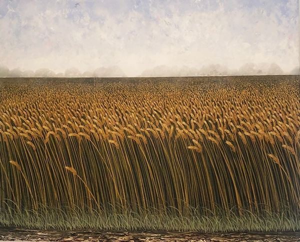 A field of wheat is shown with the sky in the background.