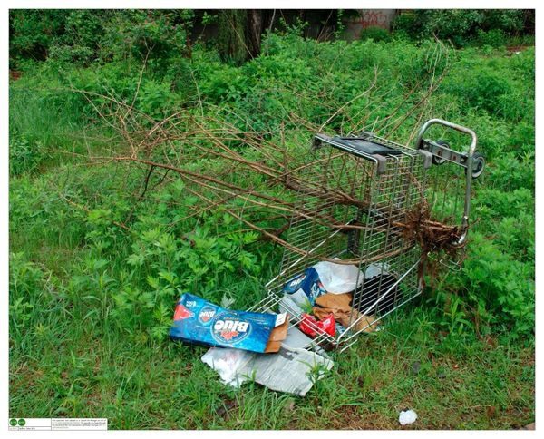 A shopping cart is shown in the grass.