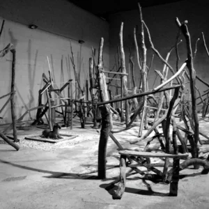 A room filled with lots of sticks and branches.