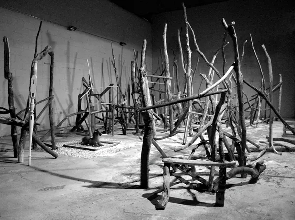 A room filled with lots of sticks and branches.