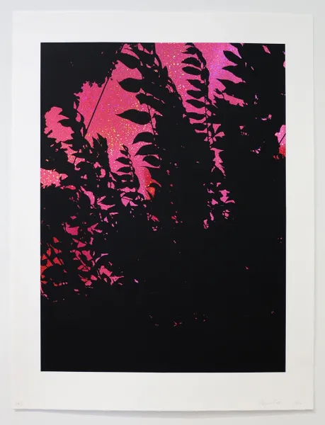 A pink and black picture of trees