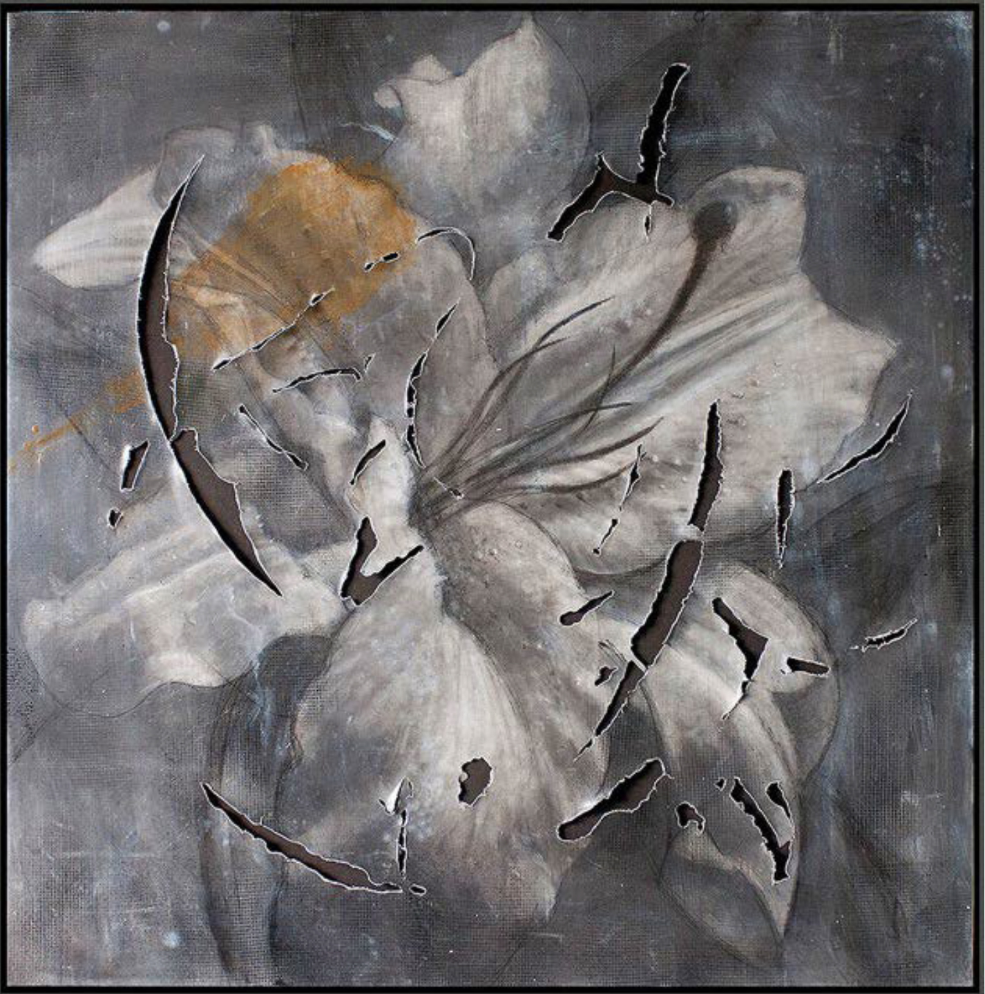 Shimon Okshteyn: Lily Slashed, 2003