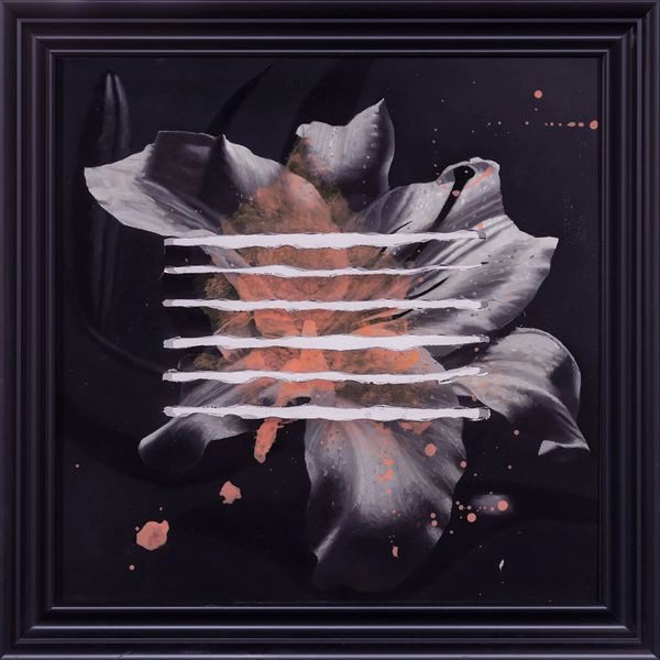 Shimon Okshteyn: Lily Cut | Pink, 2018